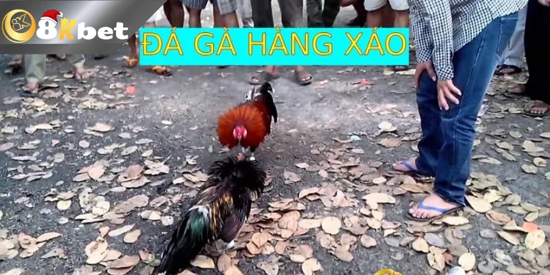 Thuật ngữ đá gà hàng xáo là gì? 